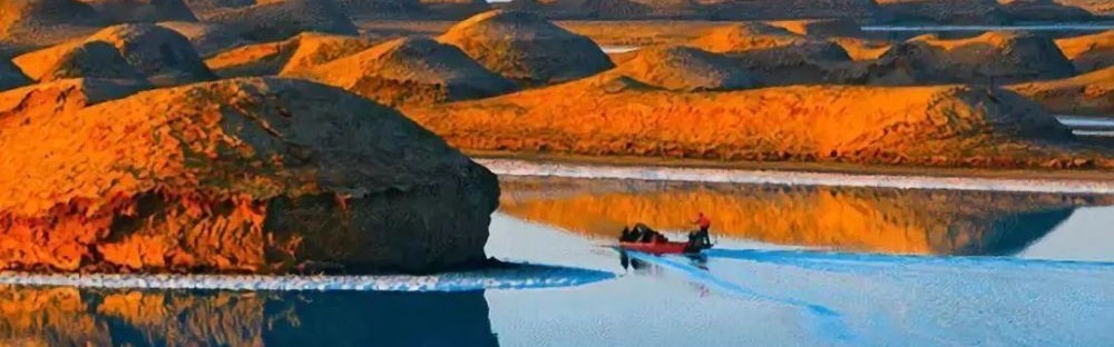  芒特世界波惊艳全场切尔西主场击退纽卡斯尔